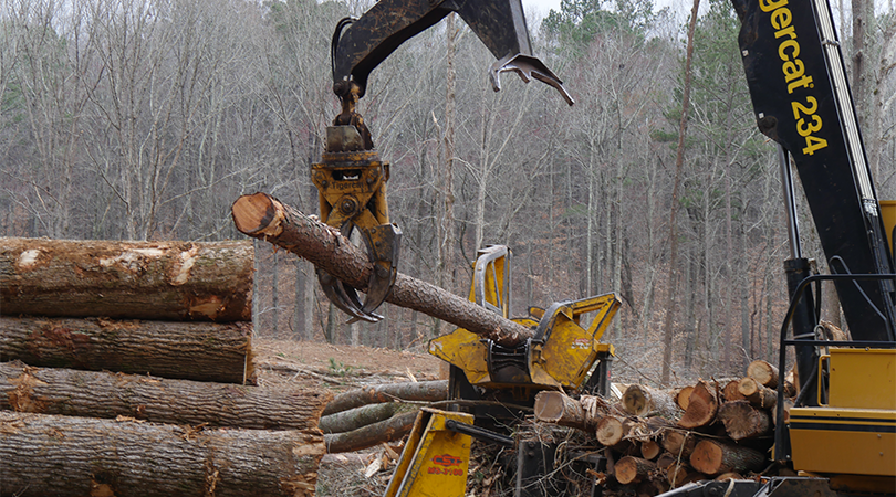 Clearing Begins At New City Maintenance Facility - 1