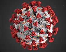 Coronavirus image from CDC media kit 217x170